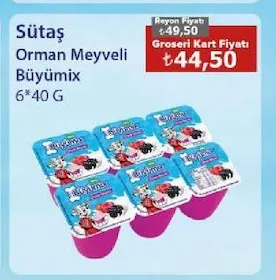 Sütaş Orman Meyveli Büyümix 6*40 G