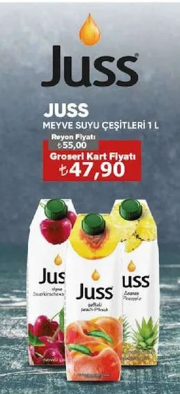 Juss Meyve Suyu Çeşitleri 1 L