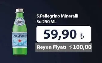 S.Pellegrino Mineralli Su 250 Ml