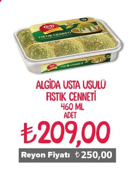 Algida Usta Usulu Fistik Cenneti 460 Ml