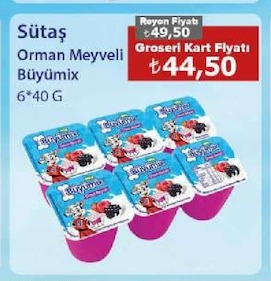 Sütaş Orman Meyveli Büyümix 6*40 G