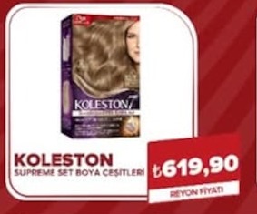 Koleston Supreme Set Boya Çeşitleri