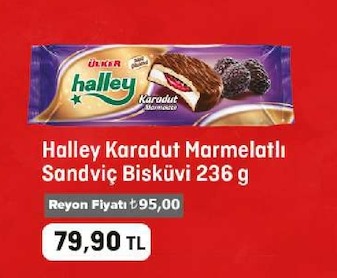 Halley Karadut Marmelatl Sandviç Bisküvi 236G