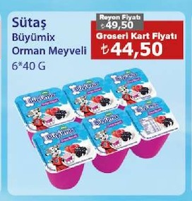 Sütaş Büymix Orman Meyveli 6*40 G