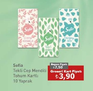 Sofia Tekli Cep Mendili Tohum Kartlı 10 Yaprak