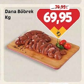 Dana Böbrek Kg