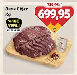 Dana Ciğer Kg
