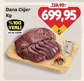 Dana Ciğer Kg