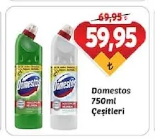 Domestos 750Ml Çeşitleri