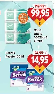 Sofia Havlu 100'Lü X 3 El Yüz