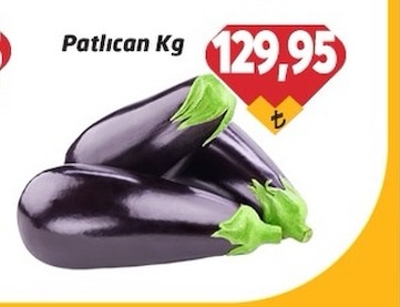 Patlıcan Kg