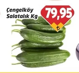 Çengelköy Salatalık Kg