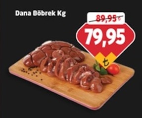 Dana Böbrek Kg