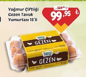 Yağmur Çiftliği Gezen Tavuk Yumurtası 15'Li