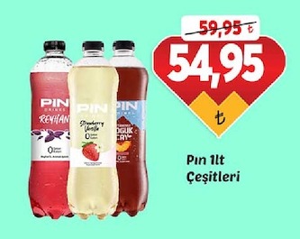 Pın 1Lt Çeşitleri