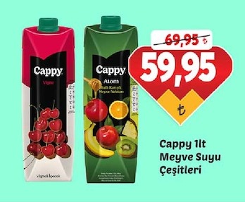 Cappy 1Lt Meyve Suyu Çeşitleri