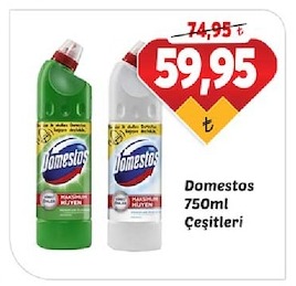 Domestos 750Ml Çeşitleri