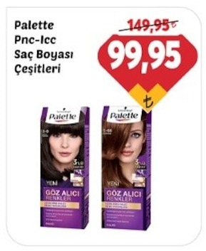 Palette Sampuan Cesitleri