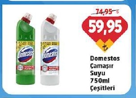 Domestos Çamaşır Suyu 750Ml Çeşitleri