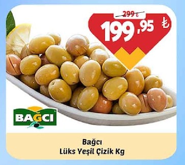 Bağcı Lüks Yeşil Çizik Kg