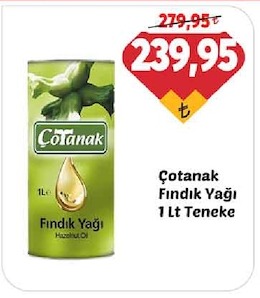 Çotanak Fındık Yağı 1 Lt Teneke