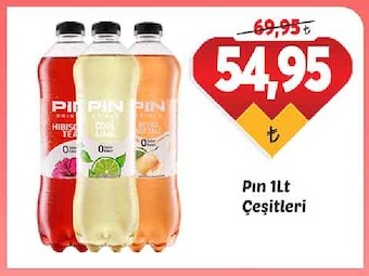 Pın 1Lt Çeşitleri