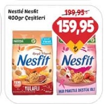 Nestlé Nesfit 400Gr Çeşitleri