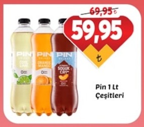 Pin 1 Lt Çeşitleri