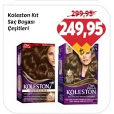 Koleston Kit Saç Boyası Çeşitleri