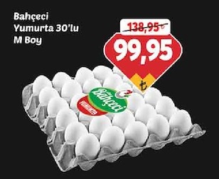Bahçeci Yumurta 30'Lu M Boy