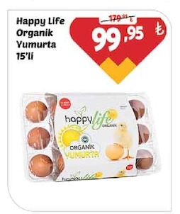 Happy Life Organik Yumurta 15'Li