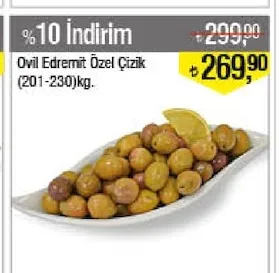 Ovil Edremit Özel Çizik (201-230)Kg