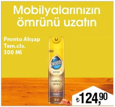 Pronto Ahşap Tem.Cls. 300 Ml