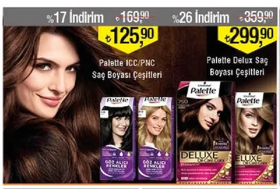 Palette Icc/Pnc Saç Boyası Çeşitleri