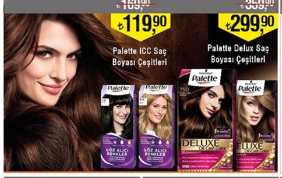 Palette Icc Saç Boyası Çeşitleri