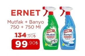 Ernet Mutfak + Banyo 750 + 750 Ml