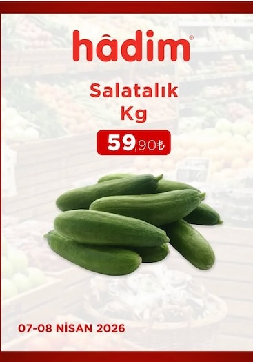 Salatalık Kg