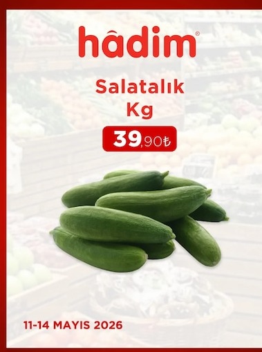 Hadim Salatalik Kg