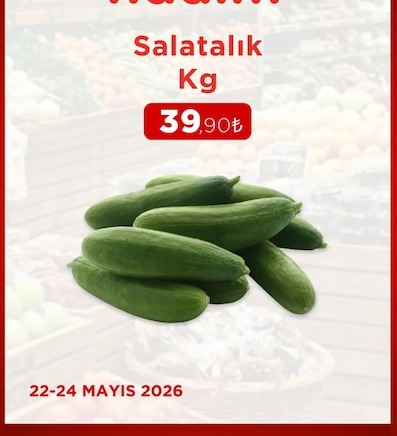 Salatalik Kg