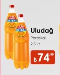 Uludağ Portakal 2.5 Lt