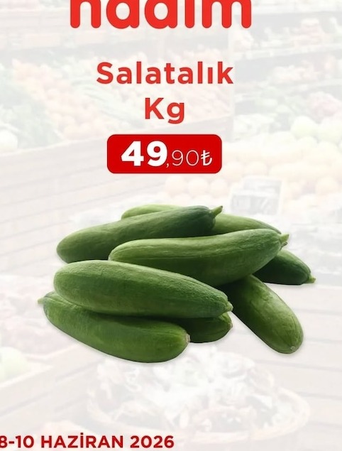 Salatalık Kg