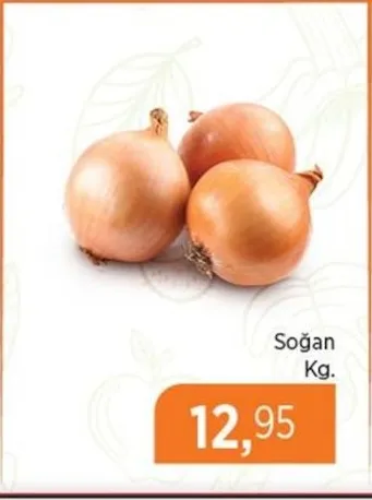 Soğan Kg.