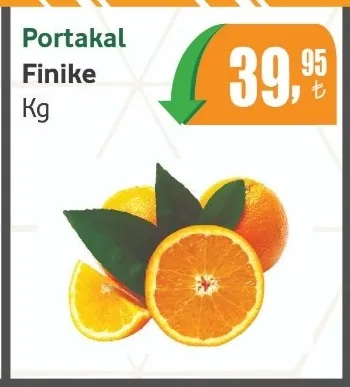 Portakal Finike Kg