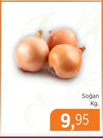 Soğan Kg