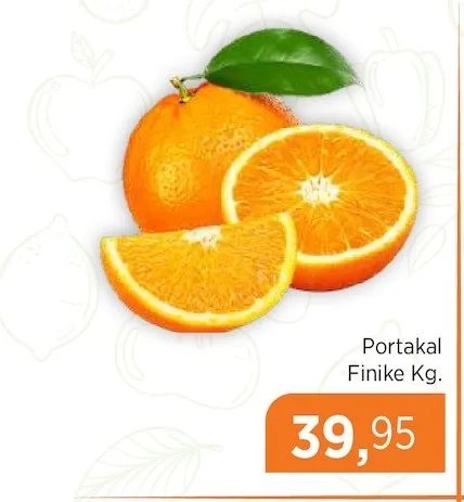 Portakal Finike Kg.