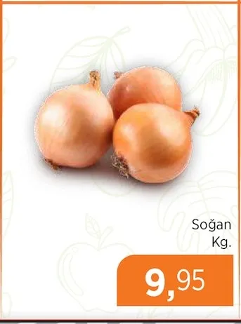 Soğan Kg.