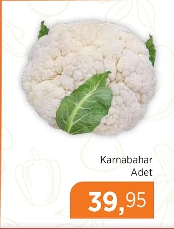 Karnabahar Adet