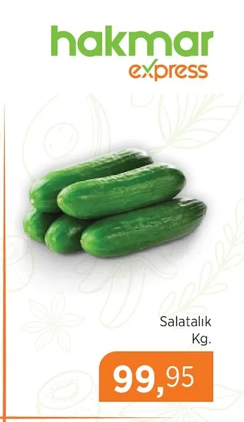 Salatalık Kg.