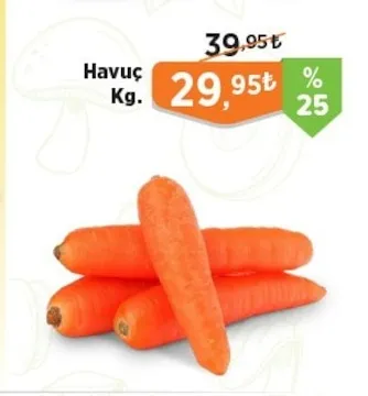 Havuç Kg