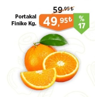Portakal Finike Kg.
